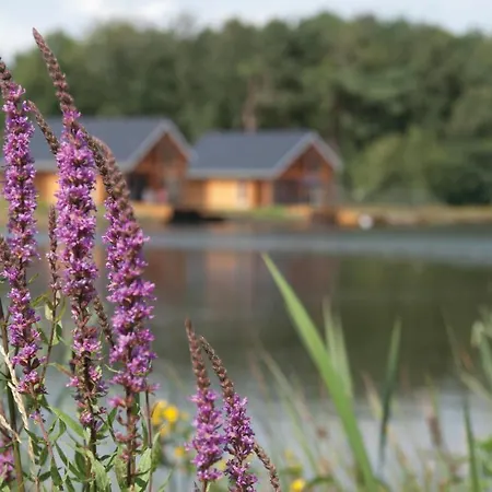 Stunning In With View Heel