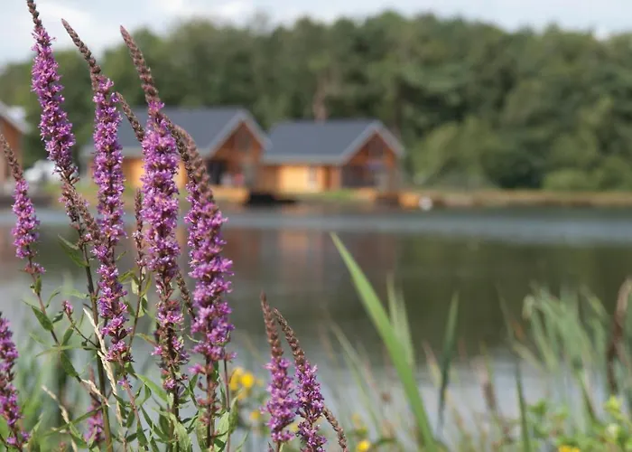 Stunning In With View Heel